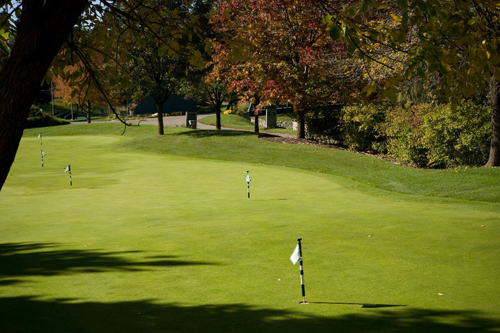 Putting green